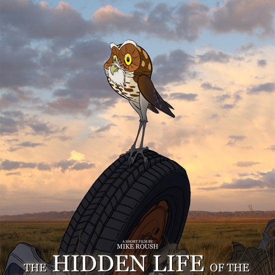 The Hidden Life of the Burrowing Owl Poster 